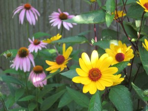 Photograph © 2011 Peggy Kornegger