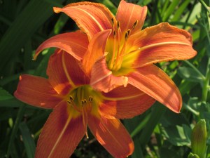 Photograph © 2015 Peggy Kornegger