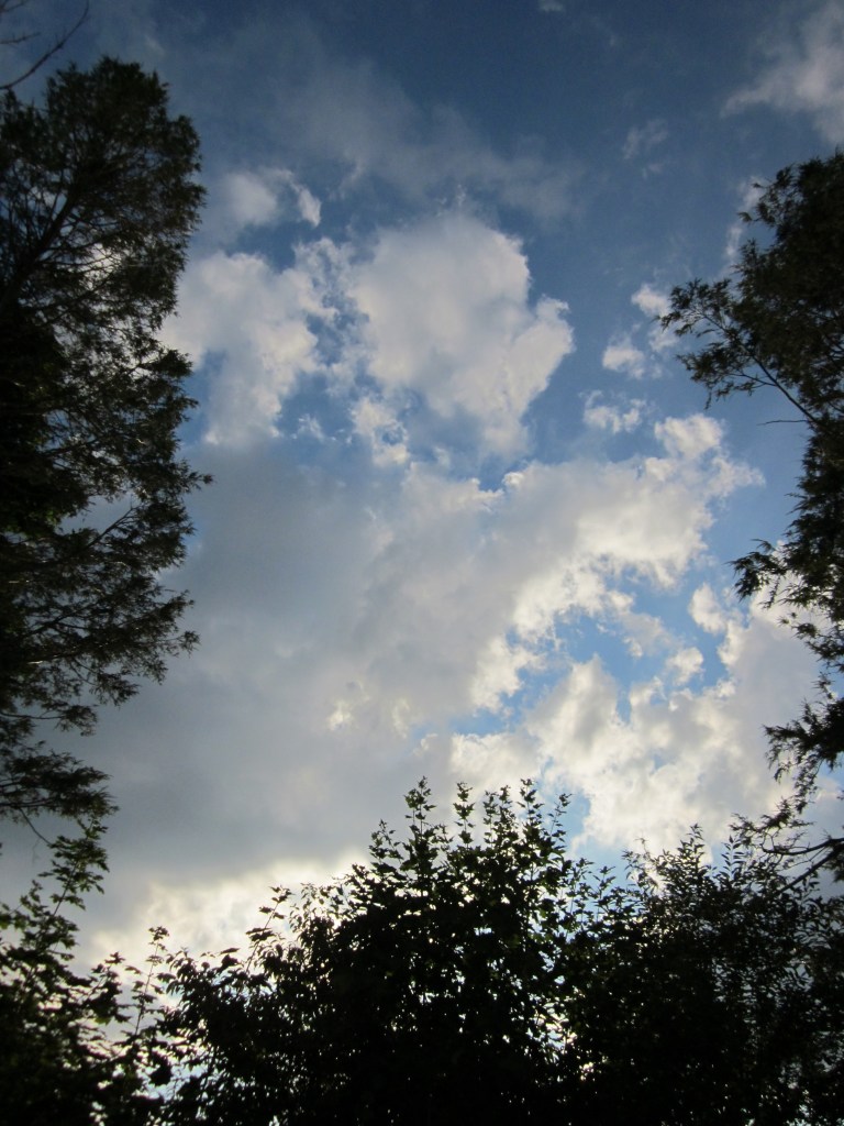 Photograph © 2011 Peggy Kornegger