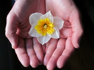 Photograph © 2013 Peggy Kornegger