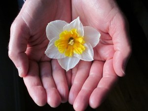 Photograph © 2013 Peggy Kornegger