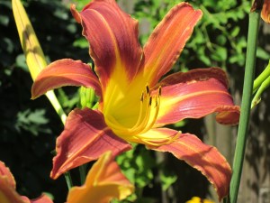 Photograph © 2012 Peggy Kornegger