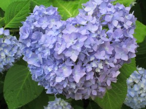 Photograph © 2013 Peggy Kornegger