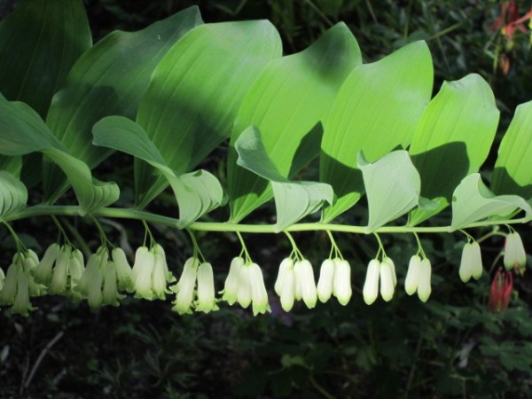 Photograph © 2014 Peggy Kornegger