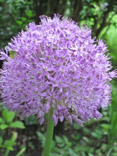 Photograph © 2013 Peggy Kornegger