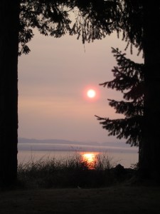 Photograph © 2014 Peggy Kornegger