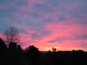 Photograph © 2014 Peggy Kornegger