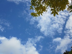 Photograph © 2014 Peggy Kornegger