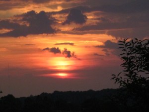 Photograph © 2015 Peggy Kornegger