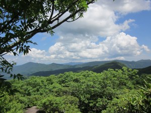 Photograph © 2015 Peggy Kornegger