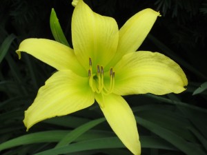 Photograph © 2015 Peggy Kornegger