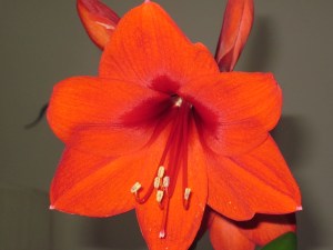 Photograph © 2016 Peggy Kornegger