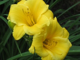 Photograph © 2015 Peggy Kornegger