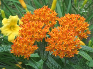 Photograph © 2015 Peggy Kornegger