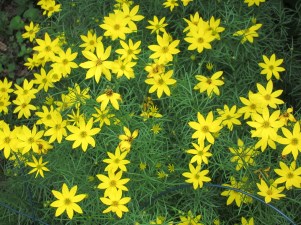 Photograph © 2012 Peggy Kornegger