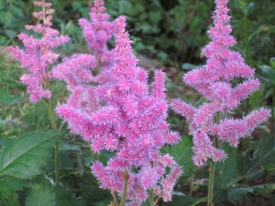 Photograph © 2012 Peggy Kornegger