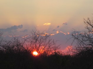 Photograph © 2016 Peggy Kornegger