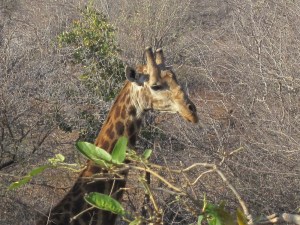 Photograph © 2016 Peggy Kornegger