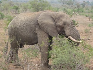 Photograph © 2016 Peggy Kornegger