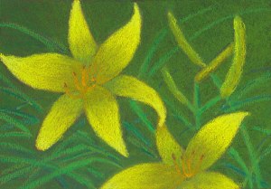 © 2016 Anne S. Katzeff / Artist